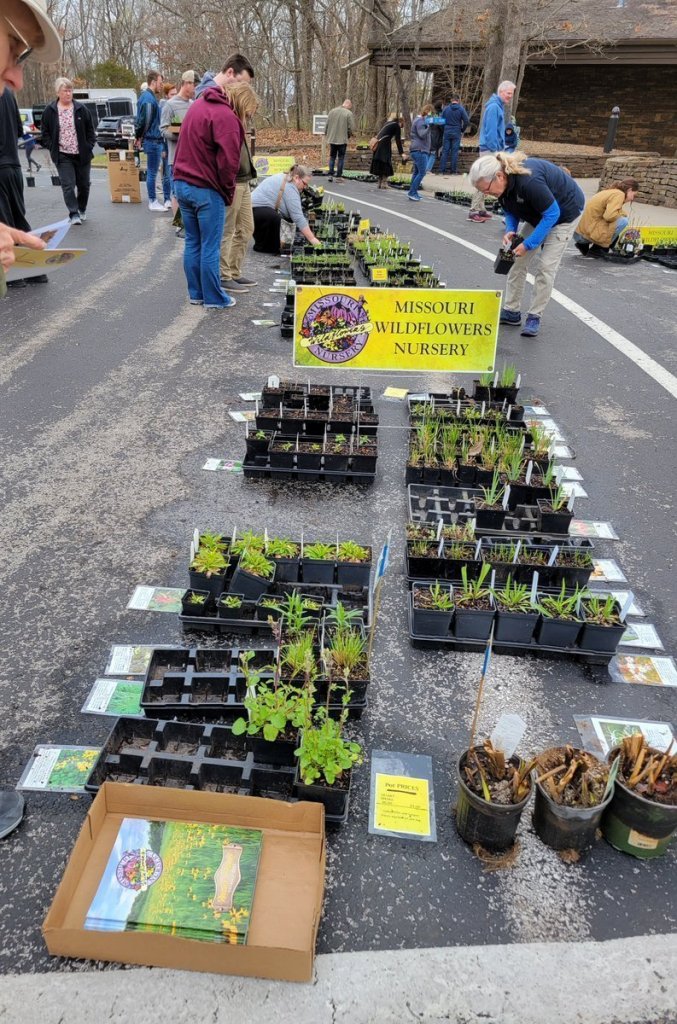 Native Plant Sale Photo
