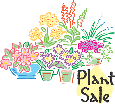 artwork of potted flowering plants with words "Plant Sale"