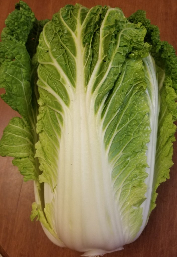 Nappa Cabbage