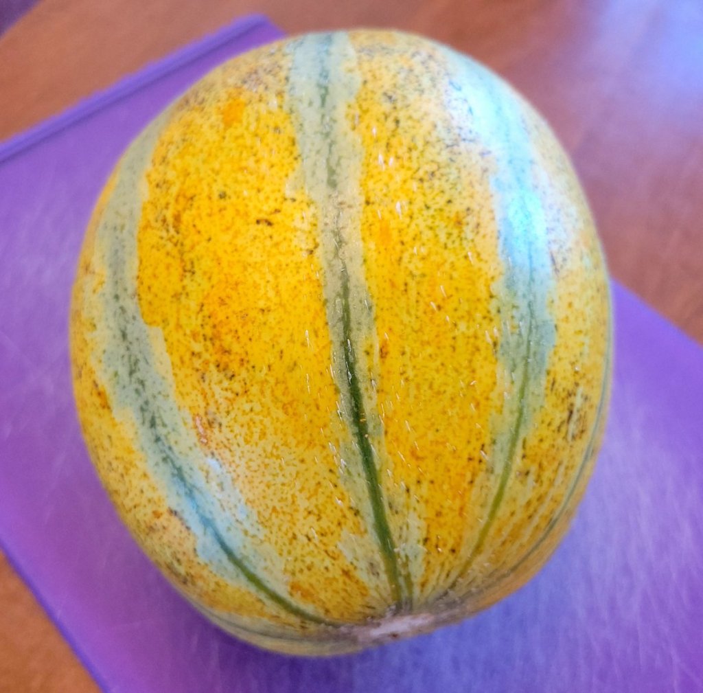 Ha'Ogen Melon